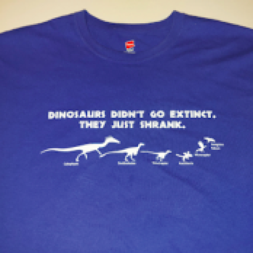 Dino Evolution
